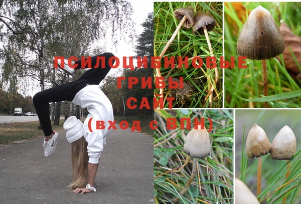 бутират Покров