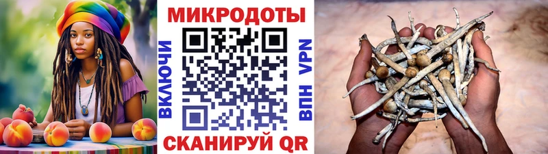 Псилоцибиновые грибы Magic Shrooms  Купить закладки  Тамбов 