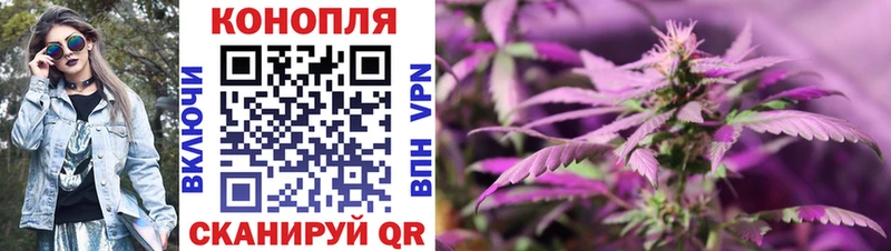 Конопля SATIVA & INDICA  Купить закладки  Тамбов 