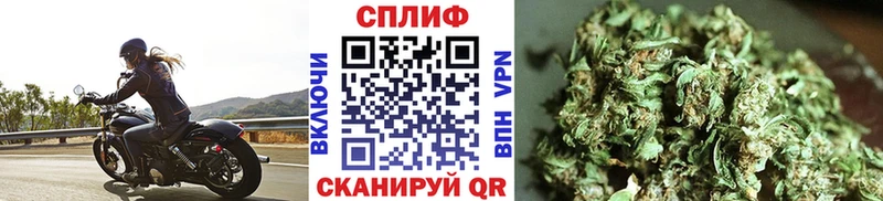 Конопля Amnesia Тамбов